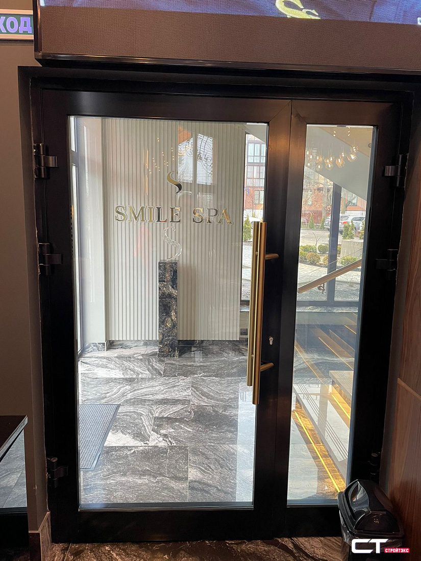 ДМО-2 Дверь двупольная металлическая с полным остеклением ДМО-2 Дверь двупольная металлическая с полным остеклением